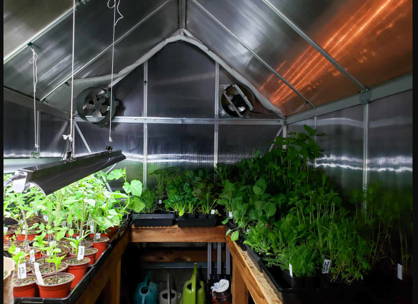 3 Pflanzenlampen für schnelles Wachstum: Beleuchten Sie Ihren Innengarten: